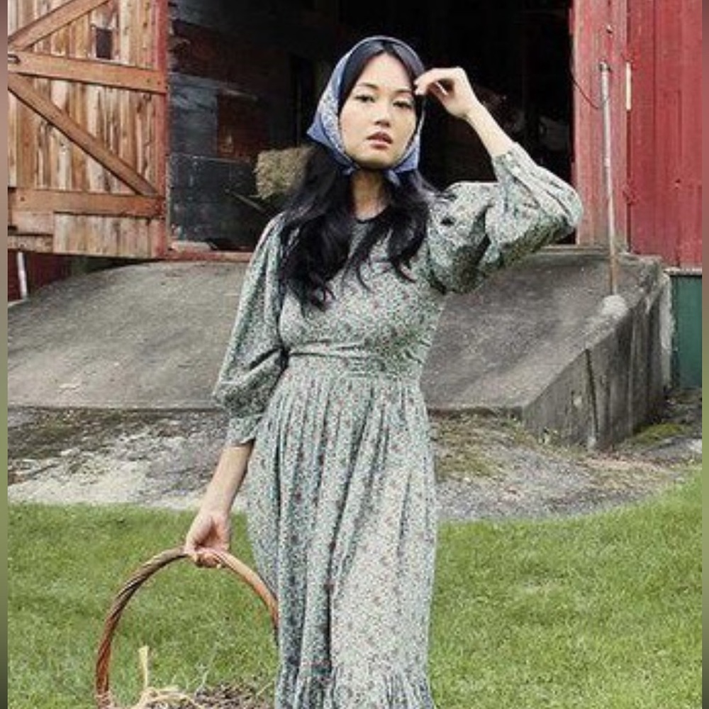 NWT Doen Tide Dress in Blue Tisbury Paisley